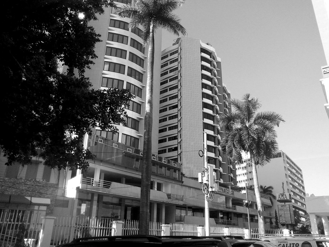 Edificios y palmeras de El Cangrejo