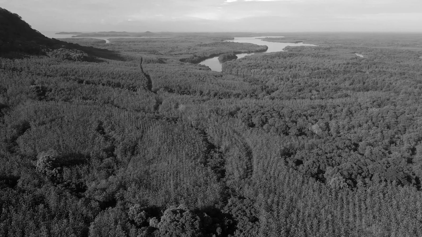 Río visto desde el aire, still de Panama Teak